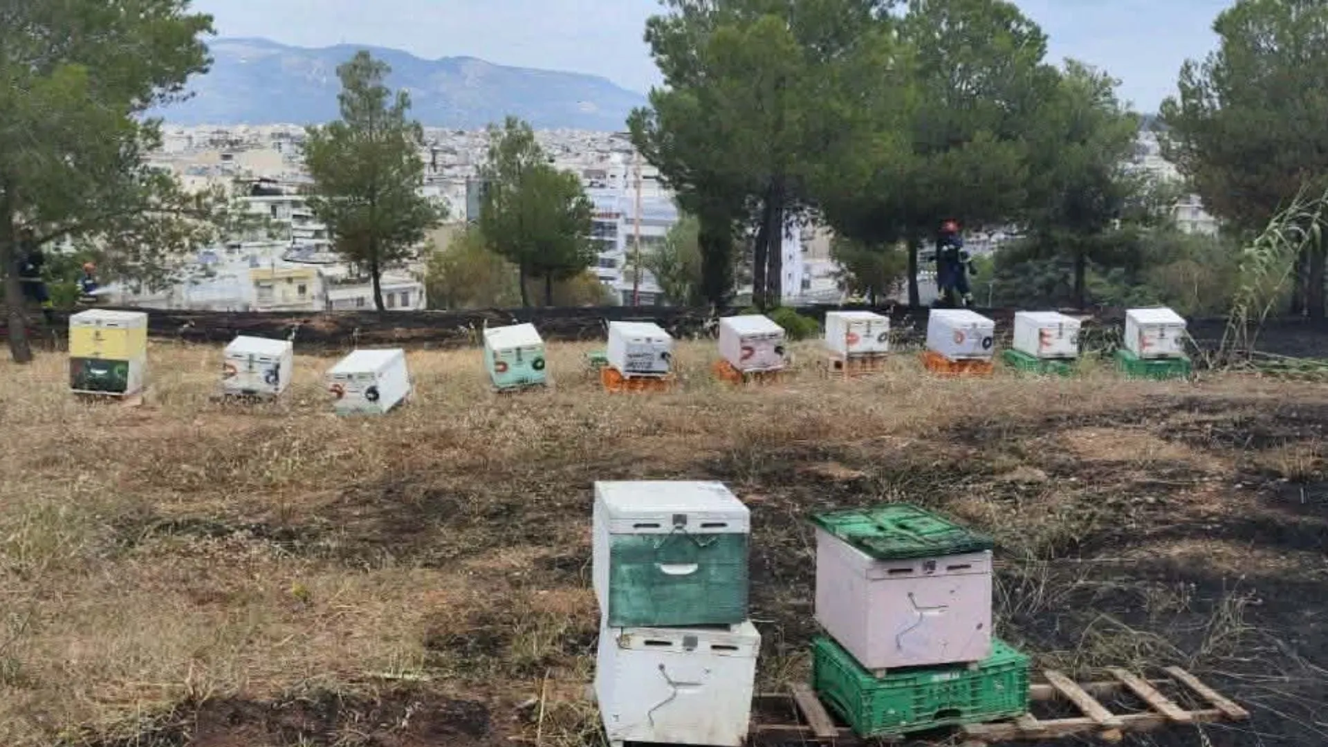 Πυρκαγιά στο Άλσος Βεΐκου Φιλοθέη μελισσοκόμοι