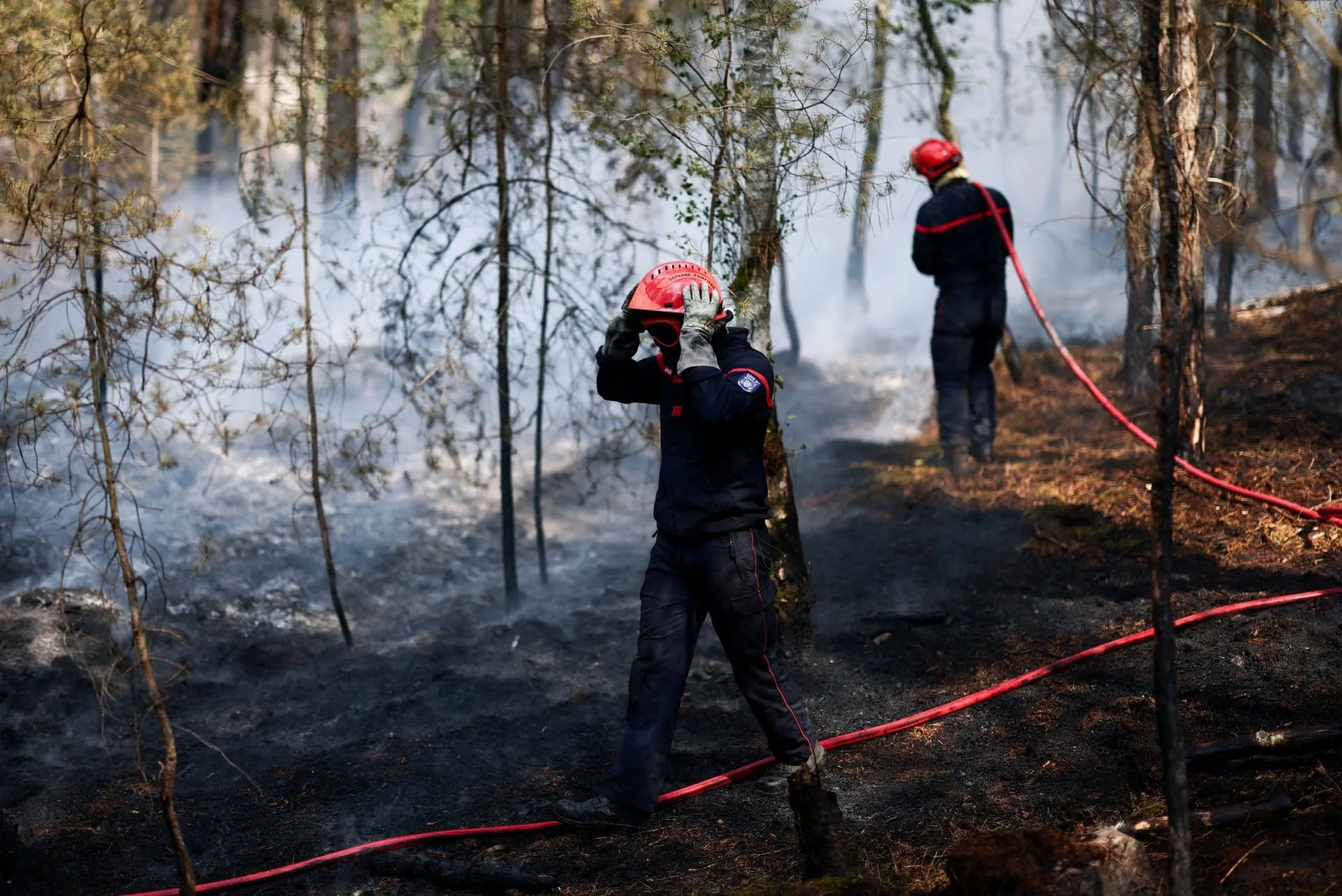 Πυρκαγιά και καπνός στο δάσος του Φοντενεμπλό στη Γαλλία