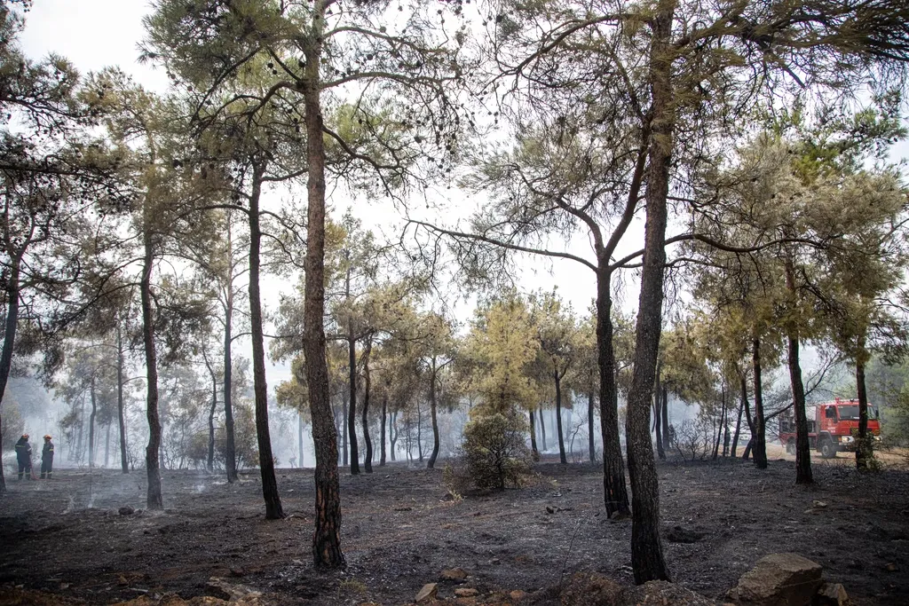 Δασικές περιοχές Θεσσαλονίκης απαγόρευση κυκλοφορίας λόγω πυρκαγιάς