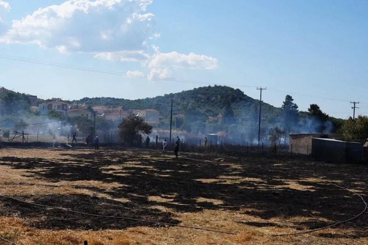 Πυροσβεστικό αεροσκάφος ρίχνει νερό σε πυρκαγιά στη Λέσβο
