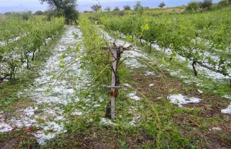 Χαλαζόπτωση σε καλλιέργειες στη Θεσσαλία