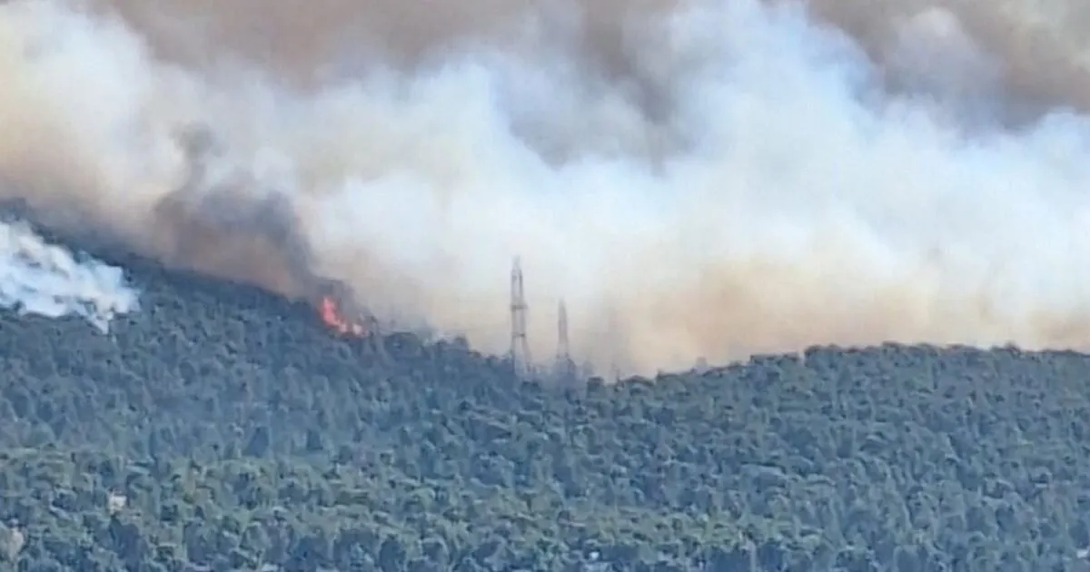 Πυκνός καπνός από τη φωτιά στην Οινόη Αττικής