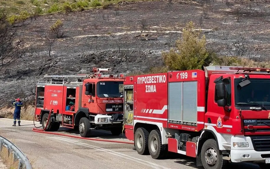 Πυροσβέστες επιχειρούν σε πυρκαγιά στον Μαραθώνα Αττικής