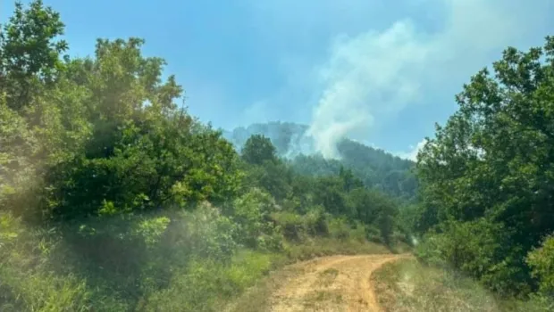 Πυροσβεστικό αεροσκάφος ρίχνει νερό σε δασική πυρκαγιά