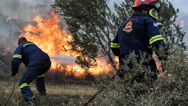 Πυροσβεστικά οχήματα σε δασική φωτιά στην Παραμυθιά Θεσπρωτίας