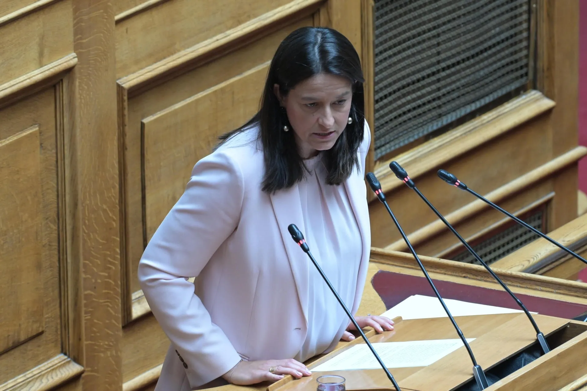 Η υπουργός Νίκη Κεραμέως ανακοινώνει πρόγραμμα ΔΥΠΑ