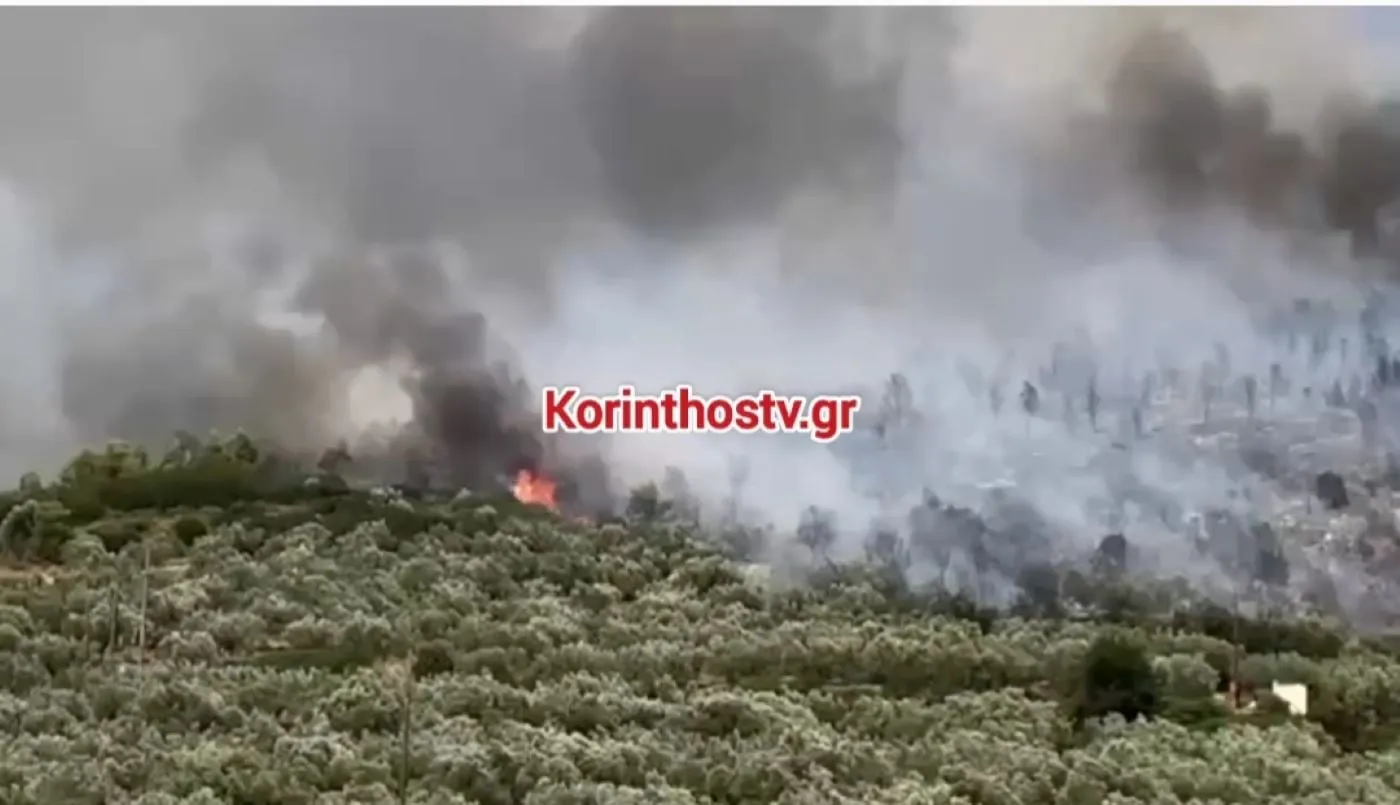 Πυροσβεστικό ελικόπτερο ρίχνει νερό σε δασική πυρκαγιά