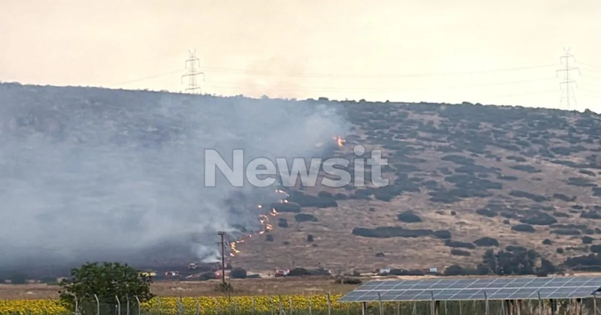 Βίντεο ντοκουμέντο από τη φωτιά στο Ωραιόκαστρο