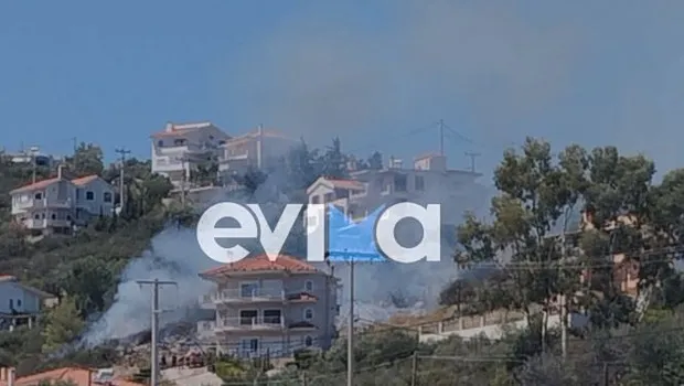 Πυροσβεστικά οχήματα σε φωτιά στο Αλιβέρι Εύβοιας