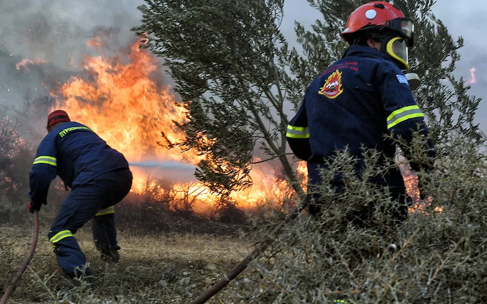 Πυροσβεστικά οχήματα επιχειρούν σε φωτιά στις Σάπες Ροδόπης