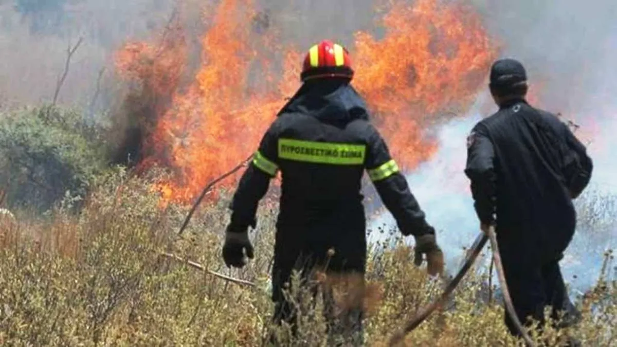 Πυροσβεστικό αεροσκάφος επιχειρεί σε πυρκαγιά στη Βοιωτία