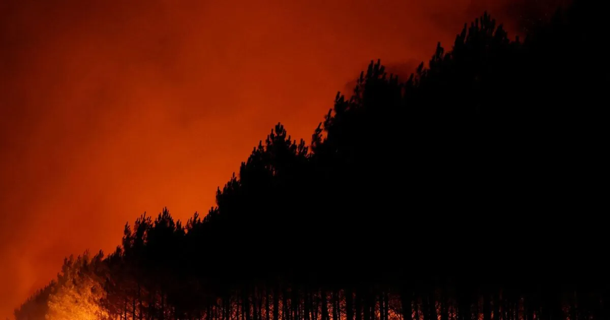 Ο Μακρόν στη Ζιρόντ: Οικονομικό πλήγμα από τις πυρκαγιές