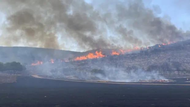 Πυροσβεστικό αεροσκάφος ρίχνει νερό σε δασική πυρκαγιά