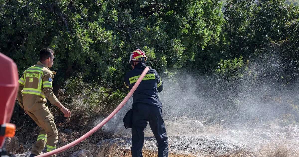 Πυροσβέστες επιχειρούν σε δασική πυρκαγιά στην Πάρο