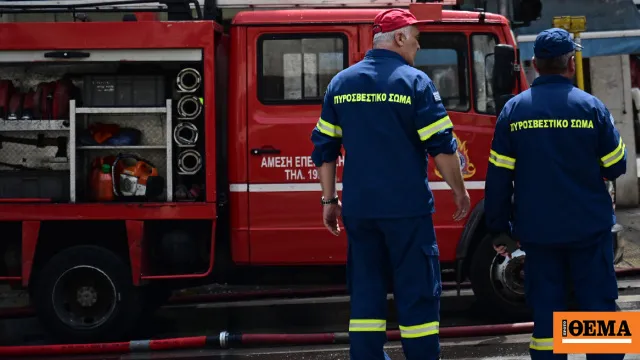 Πυροσβέστες επιχειρούν σε δασική φωτιά στο Πήλιο