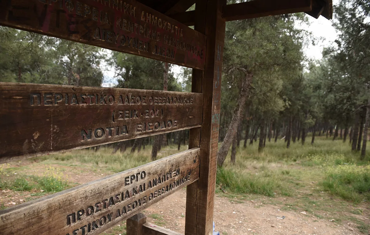 Δασική έκταση Σέιχ Σου με απαγόρευση κυκλοφορίας