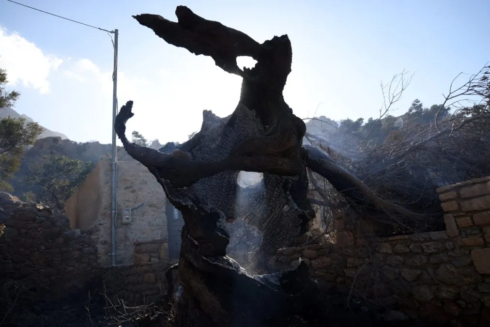 Συνελήφθη στέλεχος ΔΕΔΔΗΕ για τη φωτιά στο Ρέθυμνο