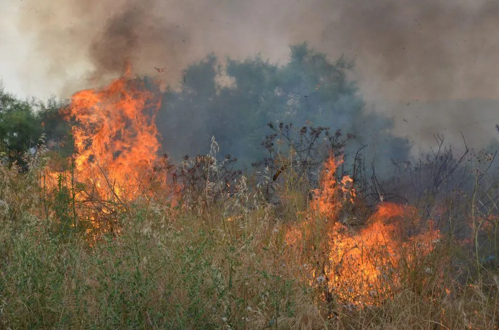 Πυροσβεστικό όχημα σε πυρκαγιά σε χαμηλή βλάστηση