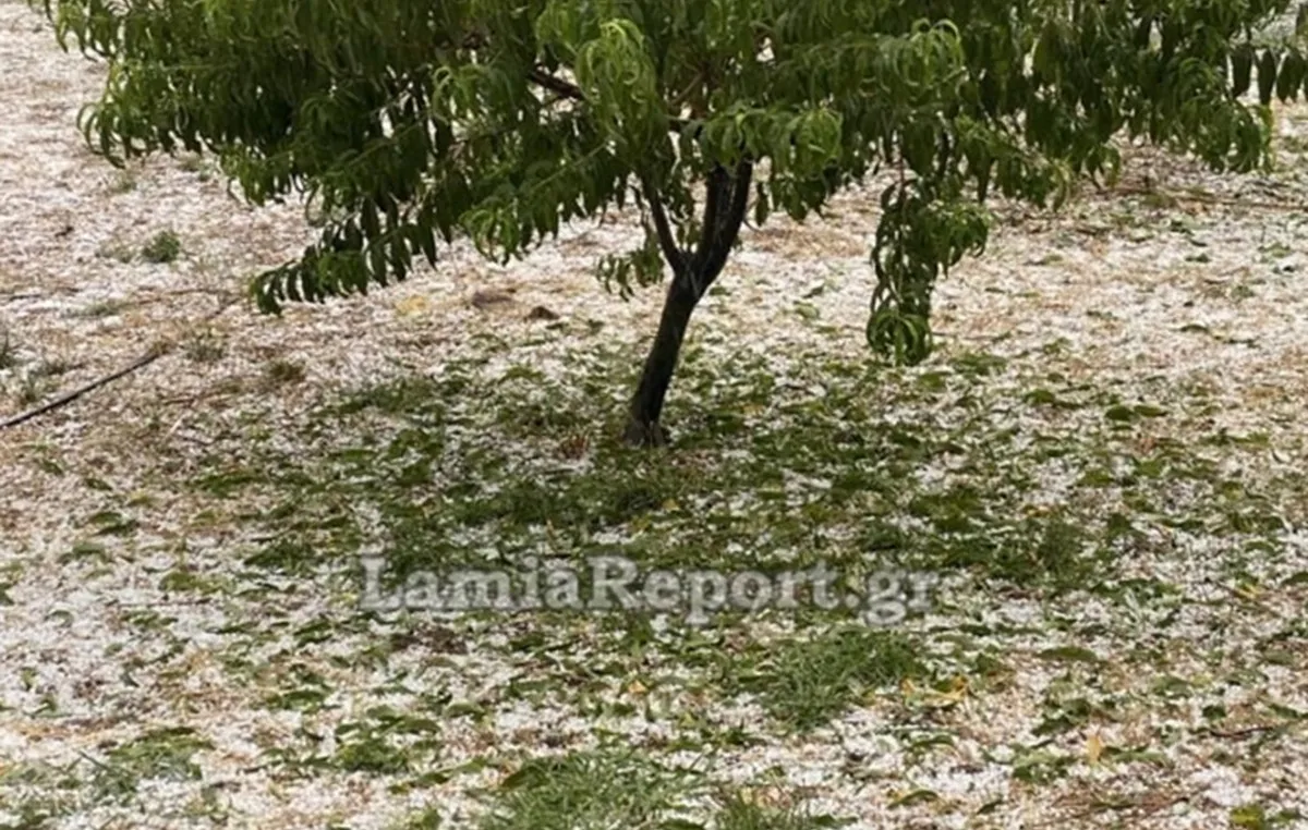 Χαλαζόπτωση και ζημιές σε καλλιέργειες στη Λαμία