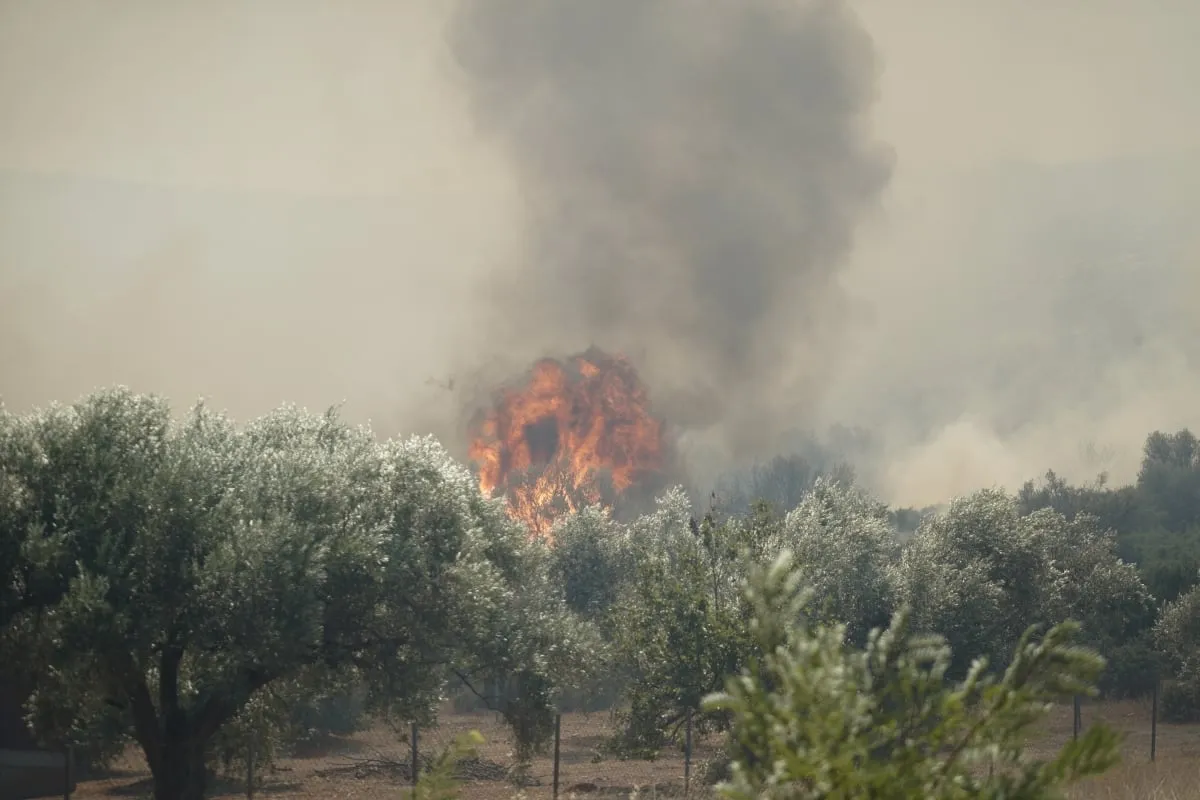 Πυκνός καπνός πυρκαγιάς πάνω από κατοικημένη περιοχή
