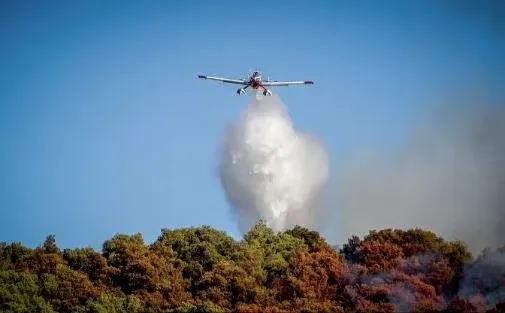 Πυροσβέστες επιχειρούν σε δασική πυρκαγιά