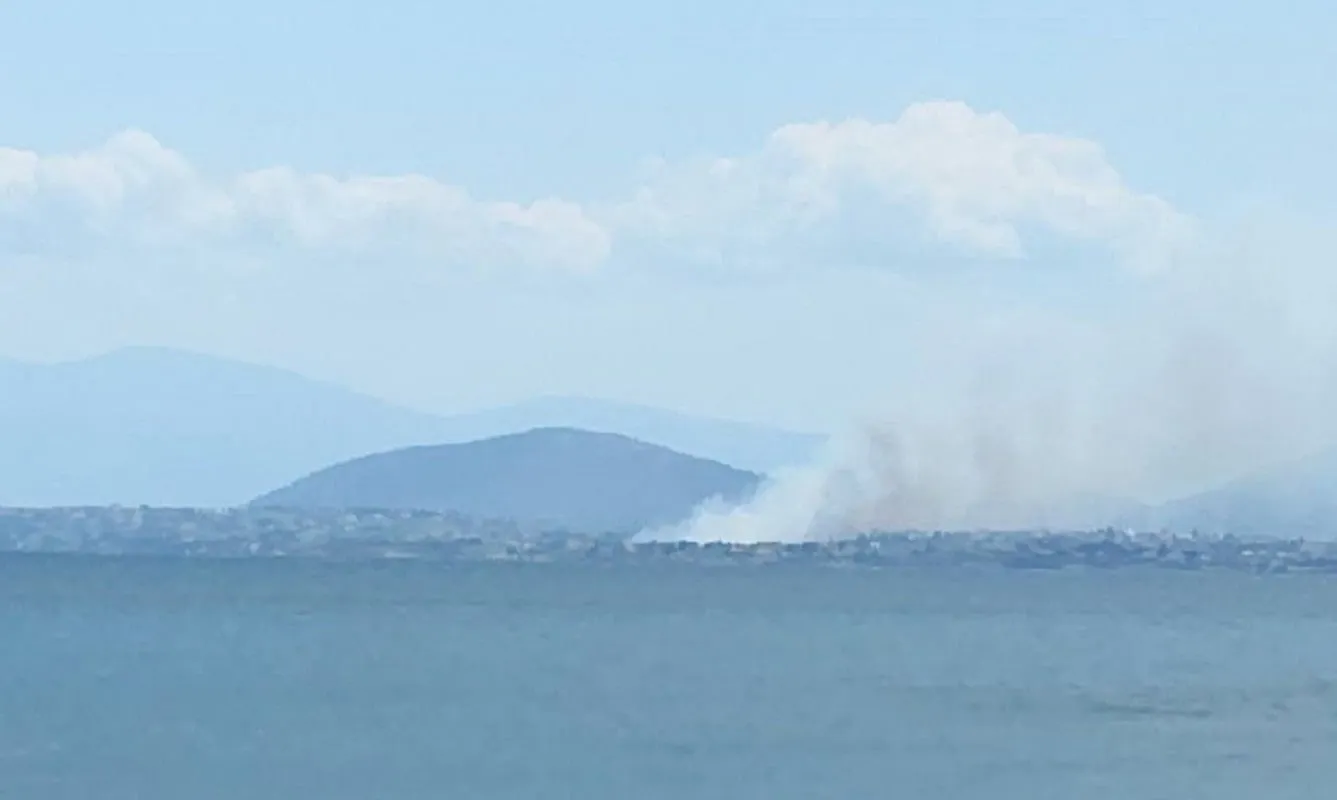 Πυροσβέστες κατασβήνουν φωτιά σε χαμηλή βλάστηση στη Χαλκίδα
