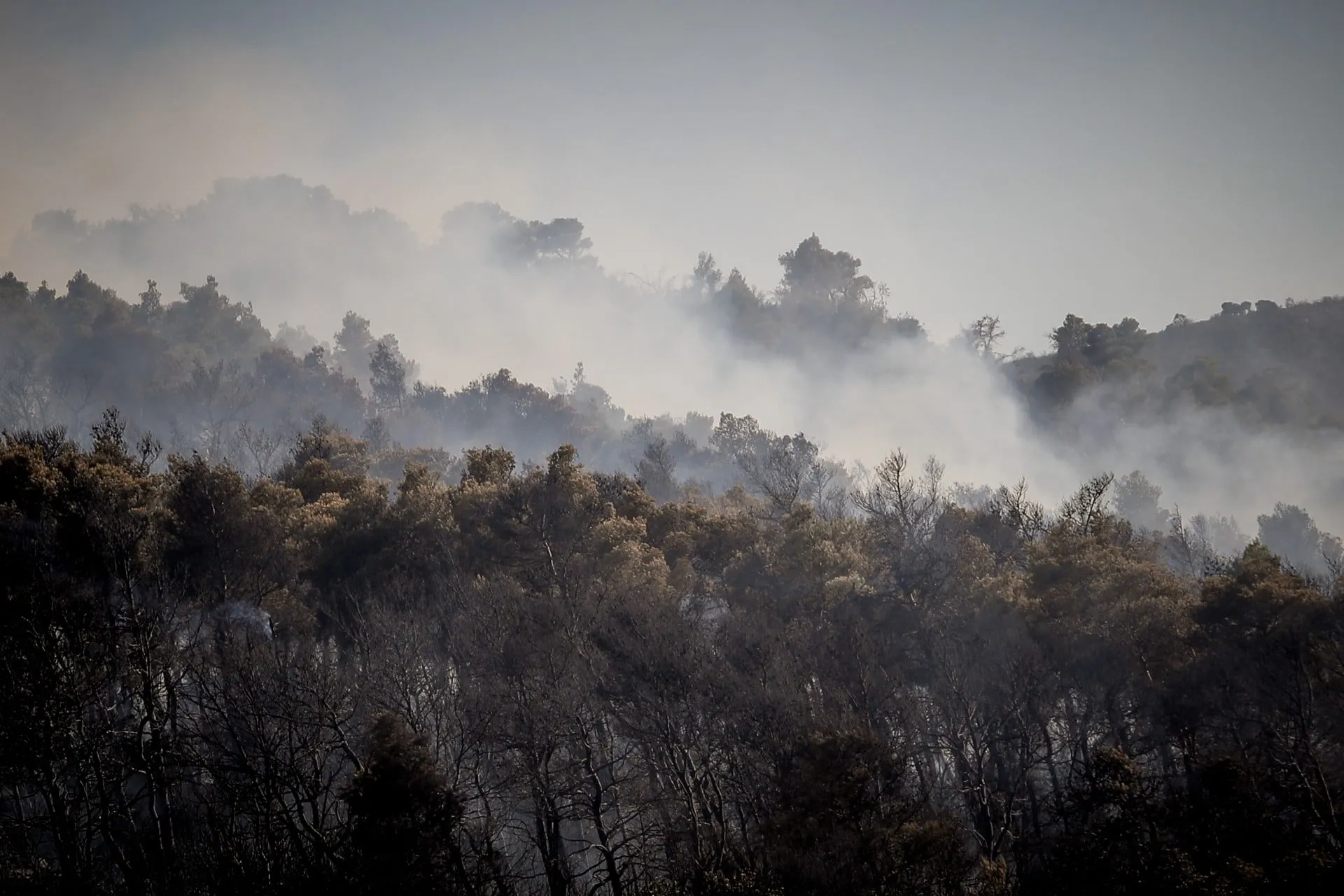 Πυροσβεστικό όχημα σε αγροτοδασική πυρκαγιά στην Ελλάδα