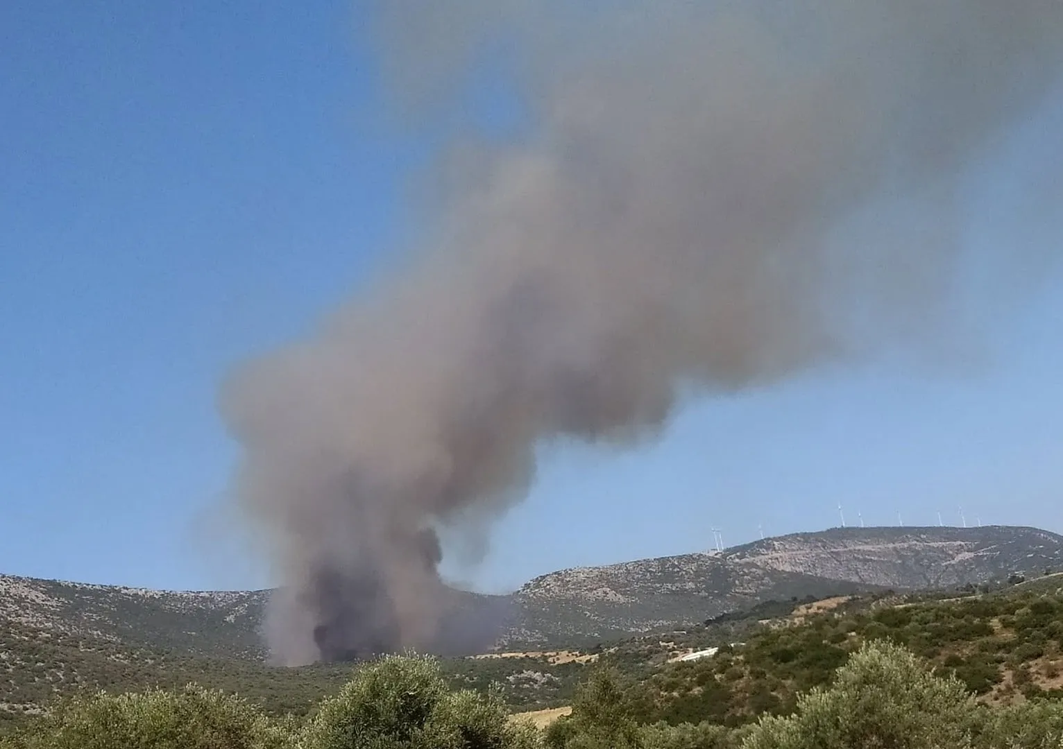 Πυροσβεστικά οχήματα επιχειρούν στη φωτιά Αγία Ελένη Τροιζηνίας