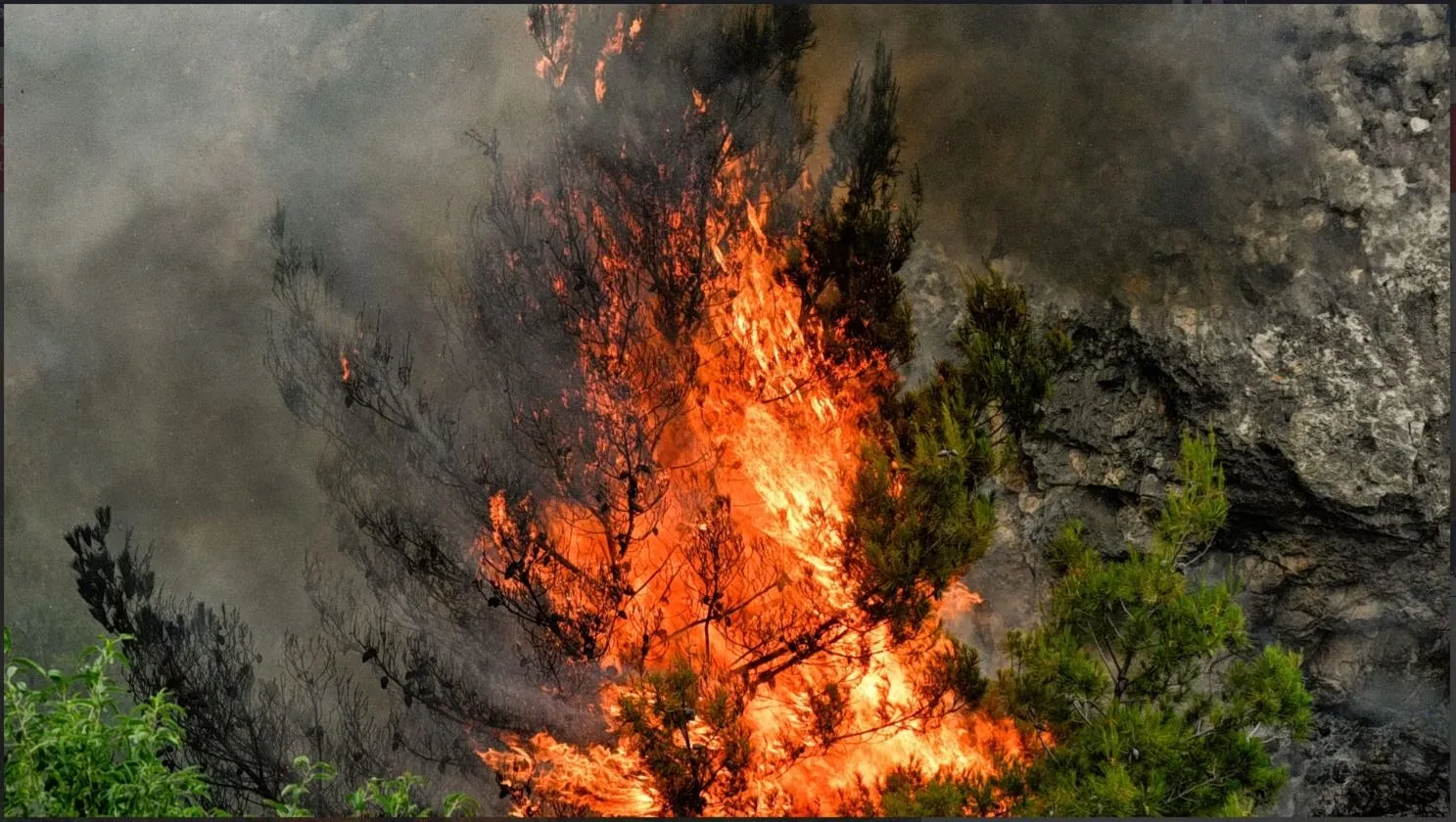Πυροσβέστες κατασβήνουν φωτιά σε χαμηλή βλάστηση στην Κερατέα
