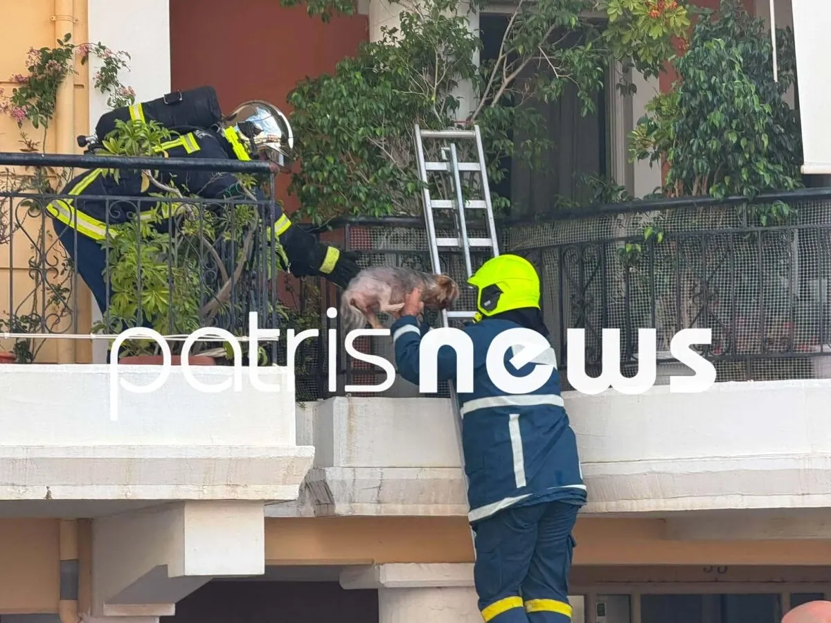 Πυροσβέστες σε φωτιά σε νοσοκομείο στη Γερμανία