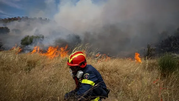 Πυροσβεστικά οχήματα επιχειρούν σε φωτιά σε χαμηλή βλάστηση
