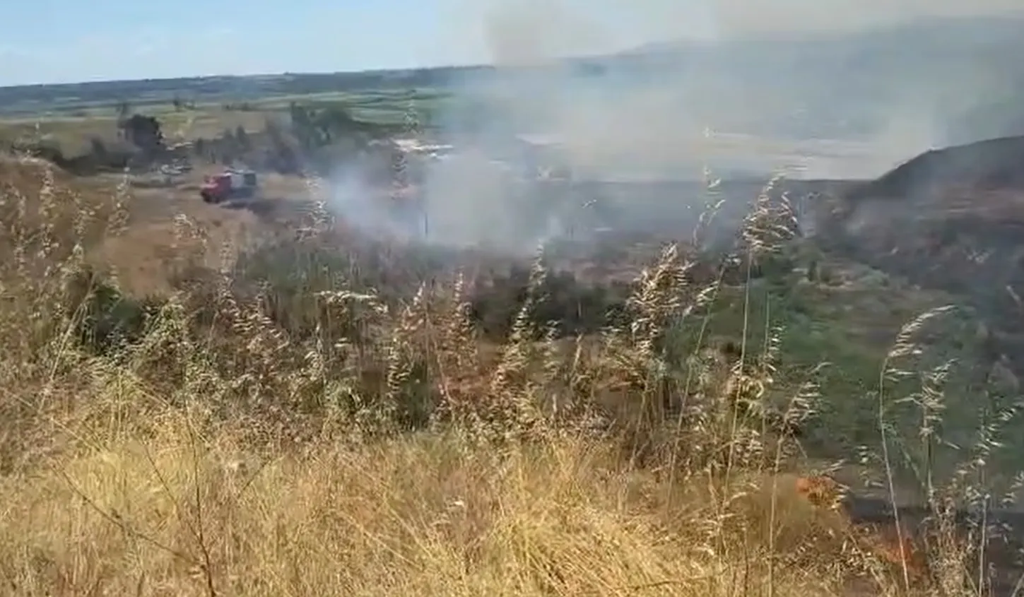 Πυροσβέστες επιχειρούν σε φωτιά στα Λάβαρα Έβρου