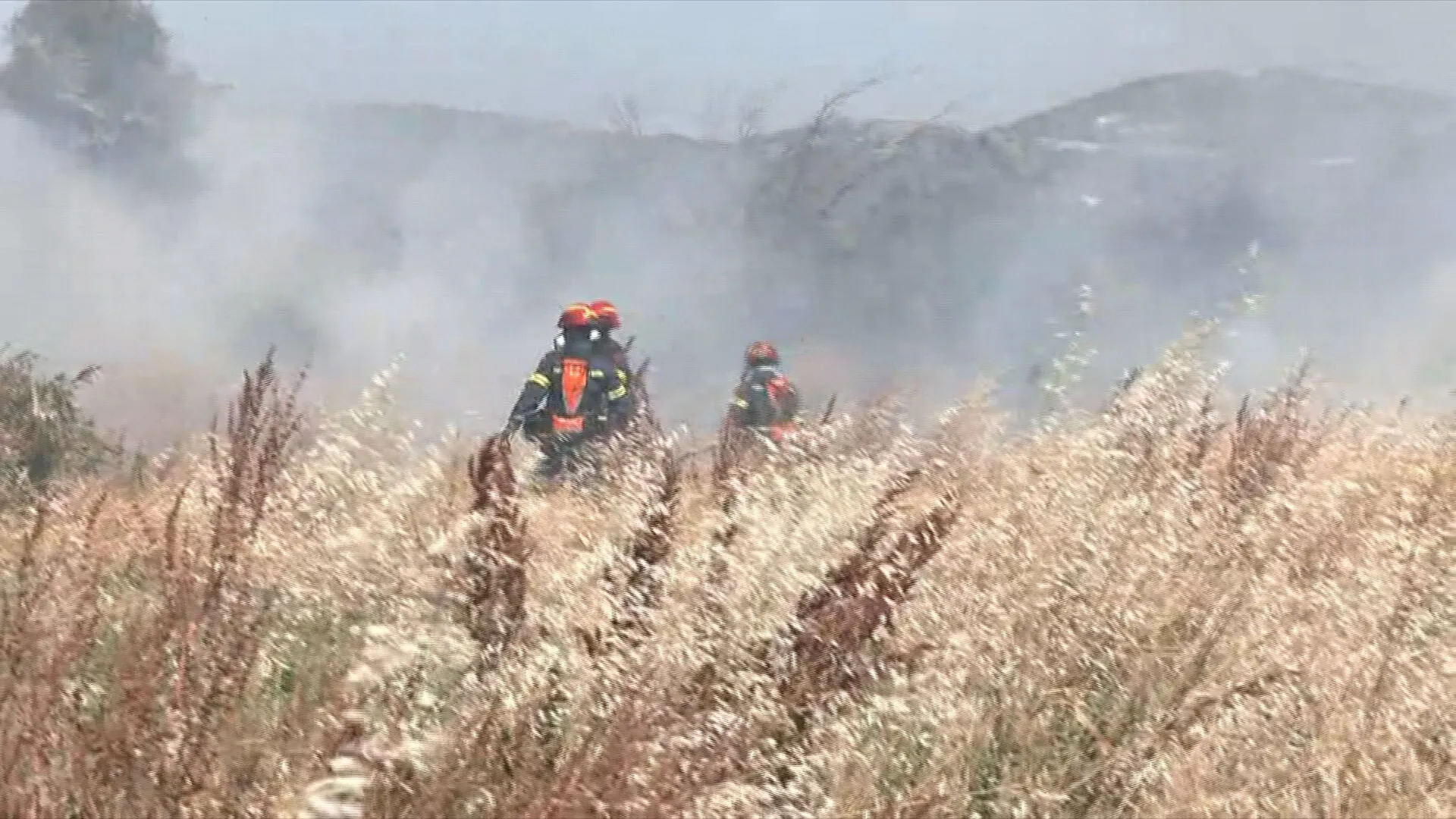 Πυροσβέστες κατασβήνουν φωτιά σε χαμηλή βλάστηση στην Κοζάνη