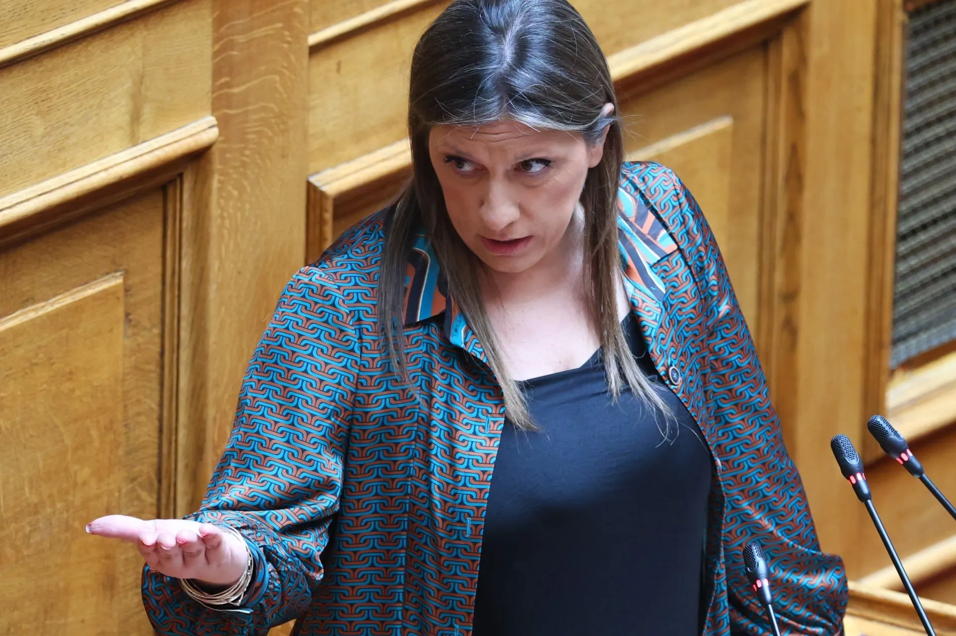 Η Ζωή Κωνσταντοπούλου μιλά στην Ολομέλεια της Βουλής