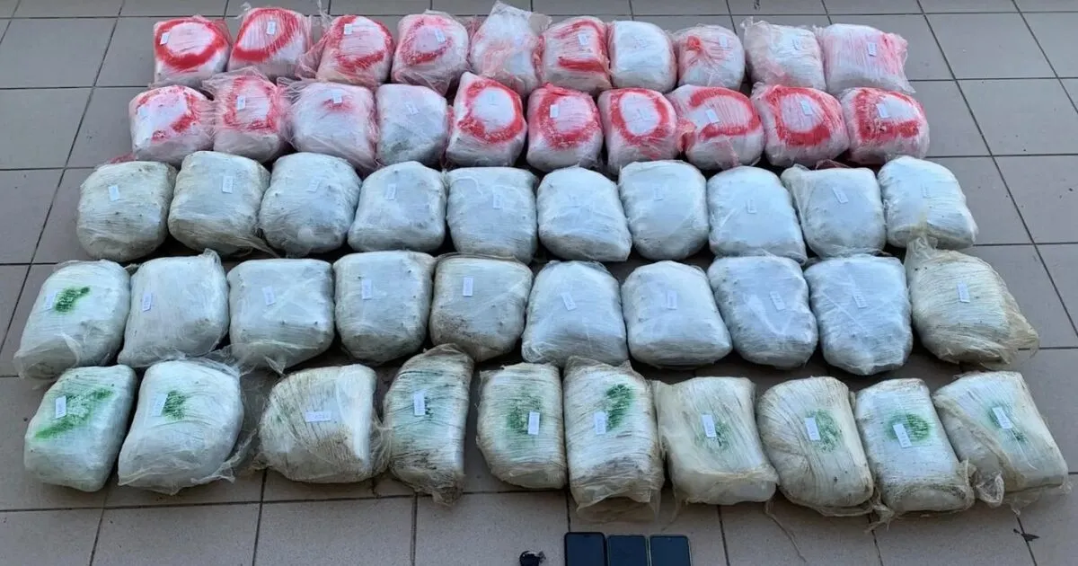 Αστυνομικός έλεγχος οχήματος για ναρκωτικά