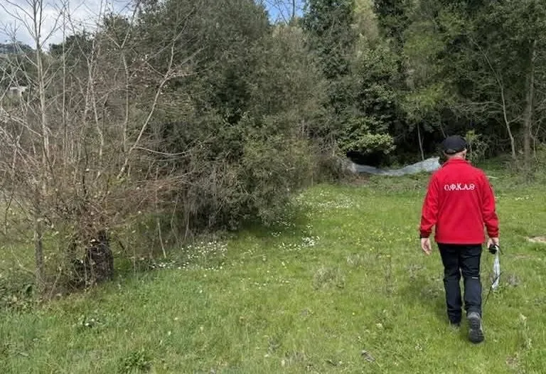 Εθελοντές διασώστες αναζητούν ηλικιωμένη στο βουνό