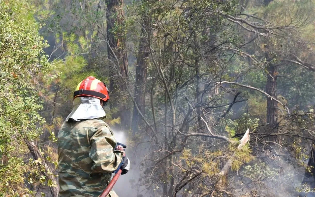 Πυροσβεστικό αεροσκάφος ρίχνει νερό σε πυρκαγιά στη Λέσβο