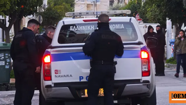Αστυνομικοί και ελεγκτές σε κτηνοτροφικά μητρώα στα Ζωνιανά