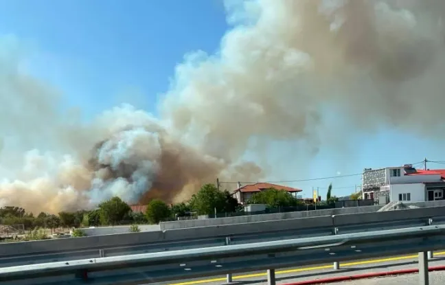 Πυροσβεστικά οχήματα επιχειρούν σε πυρκαγιά σε χαμηλή βλάστηση