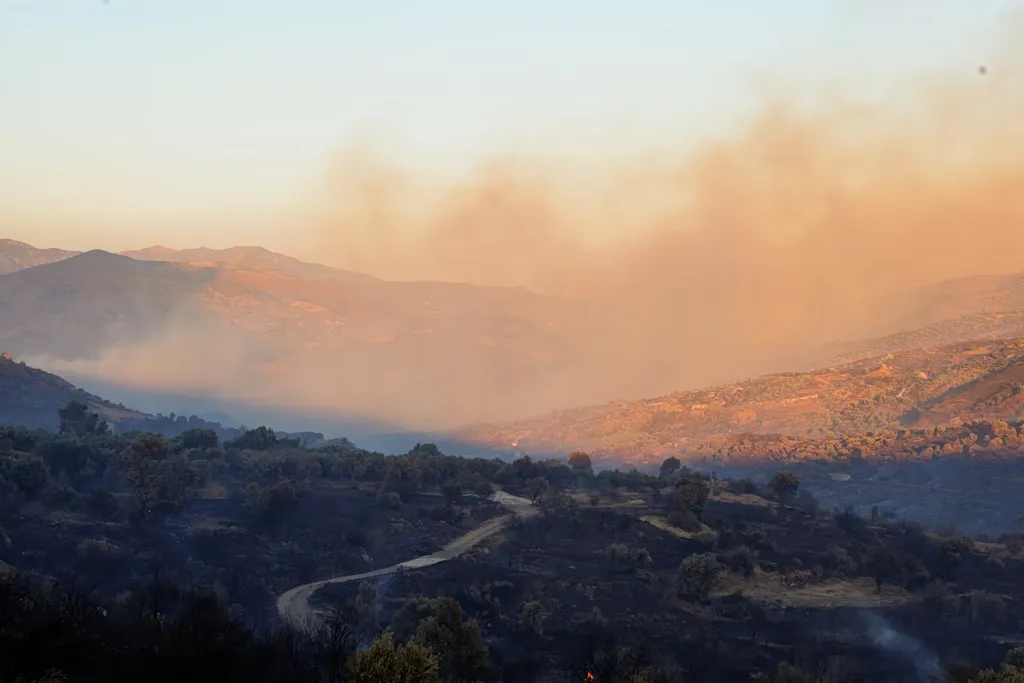 Δασική πυρκαγιά στο Λασίθι Κρήτης με καπνό