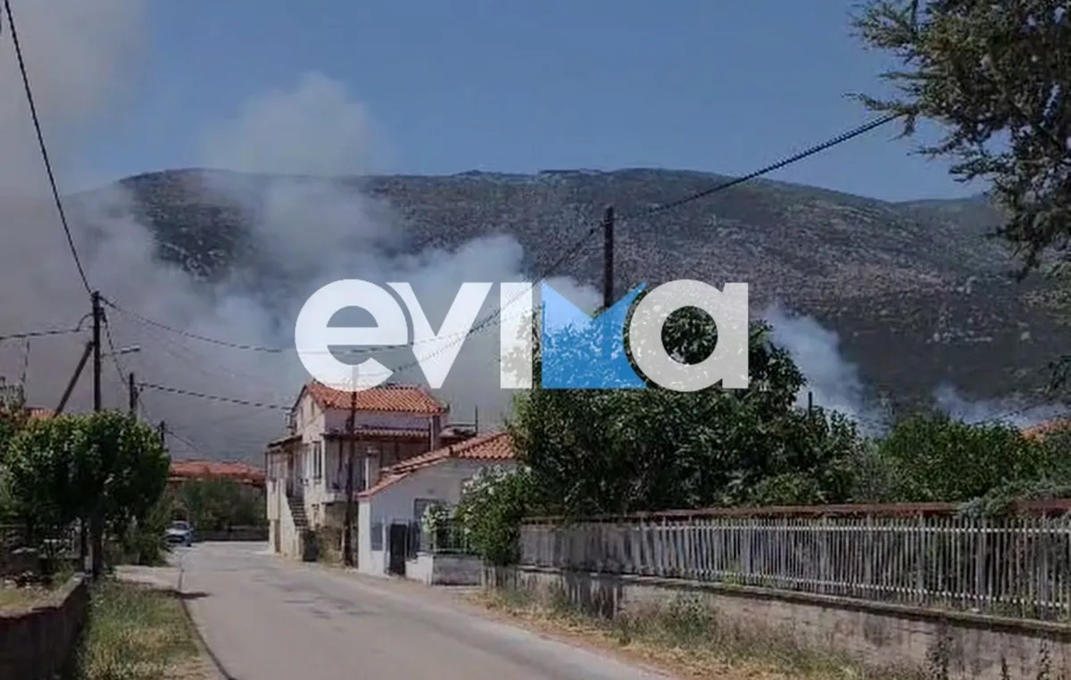 Πυροσβεστικά οχήματα επιχειρούν σε πυρκαγιά στην Εύβοια