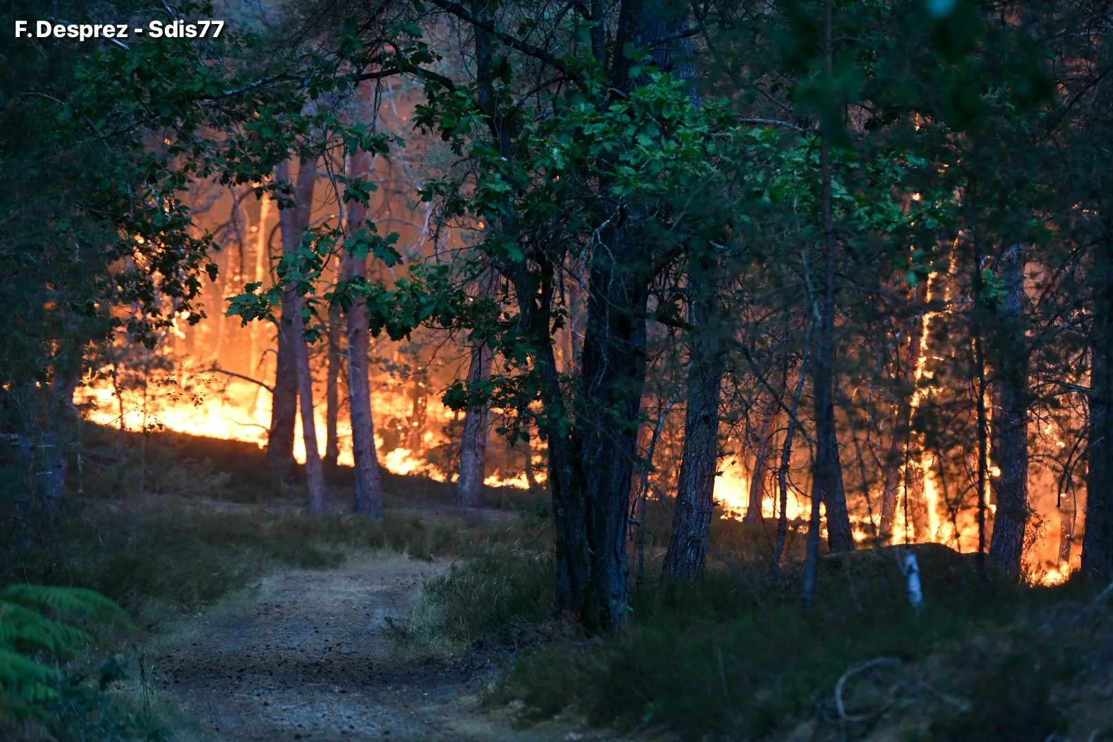 Πυρκαγιά καίει το δάσος του Φοντενεμπλό κοντά στο Παρίσι