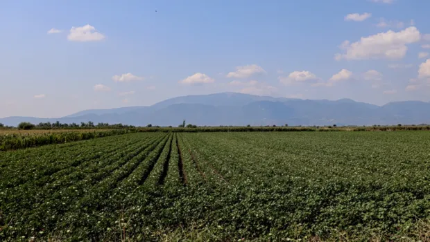 Αγροτικά ακίνητα και έγγραφα παραχώρησης γης από το Δημόσιο