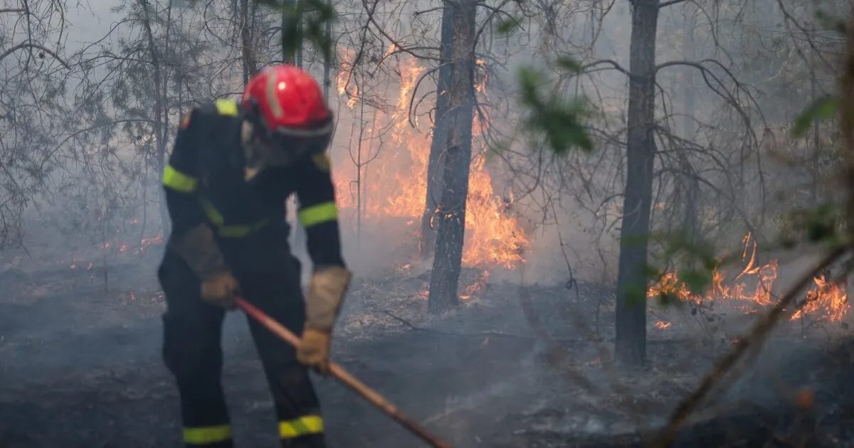 Πυρκαγιά και καπνός στο δάσος του Φοντενεμπλό στη Γαλλία