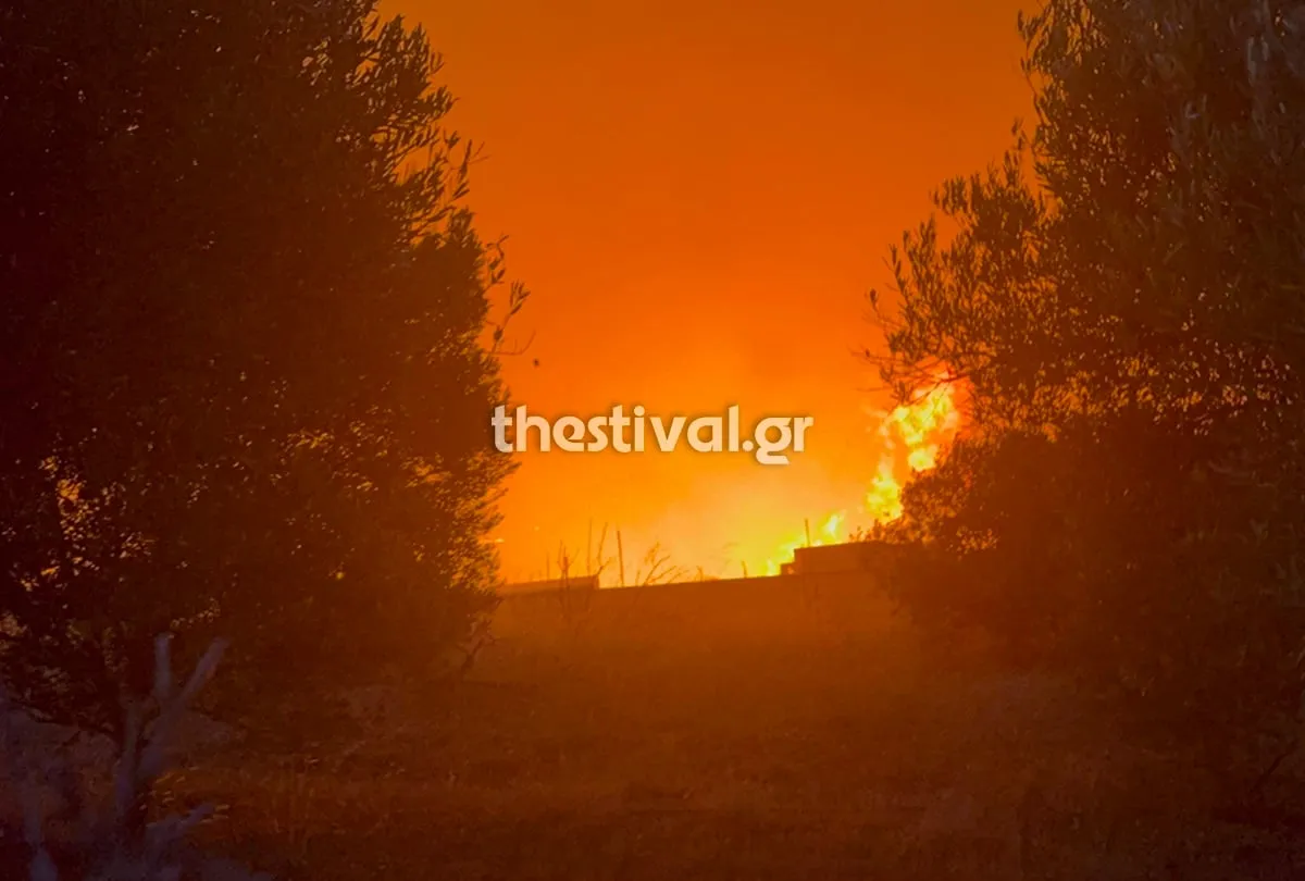 Πυροσβέστες επιχειρούν στη φωτιά στο Ωραιόκαστρο Θεσσαλονίκης