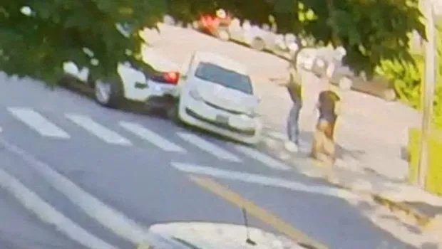 Αστυνομικό αυτοκίνητο της ICE σε έλεγχο δρόμου στις ΗΠΑ