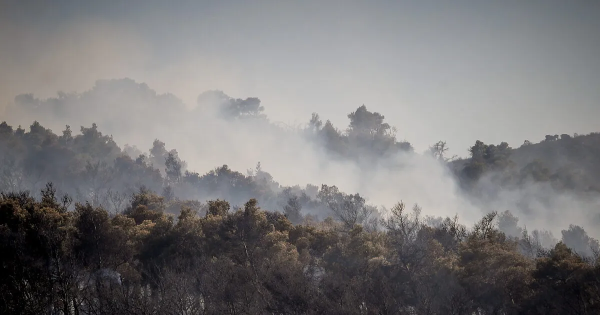 Καπνός και φλόγες από τη φωτιά στην Οινόη Αττικής