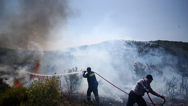 Πυροσβέστες επιχειρούν σε πυρκαγιά στην Ερέτρια Ευβοίας