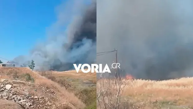 Πυροσβεστικά οχήματα επιχειρούν σε πυρκαγιά