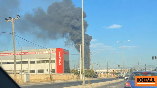 Πυροσβέστες επιχειρούν σε φωτιά στον Ασπρόπυργο
